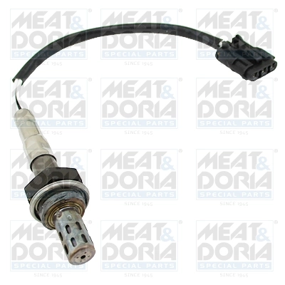 Oxygen Sensor